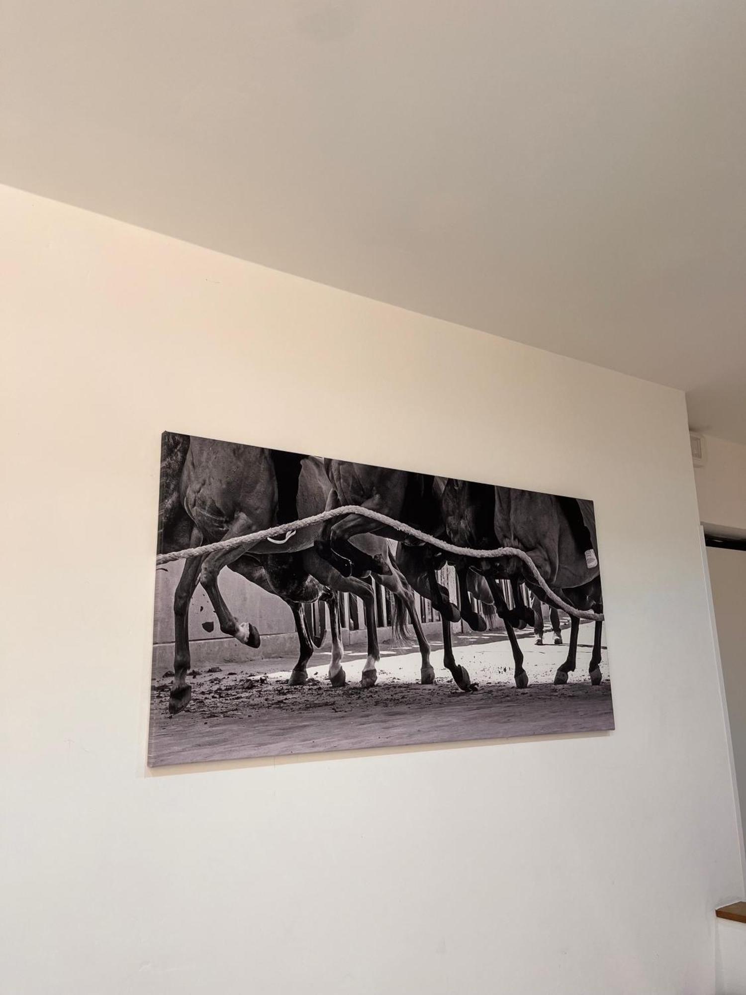 Apartamento La Casa Del Palio Siena Exterior foto
